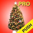 程序图标：Christmas Countdown Pro P…