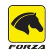 프로그램 아이콘: Forza Fidelidade