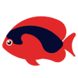 أيقونة البرنامج: RedPhish