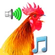 Programikonen: Funny Alarm Clock Rington…