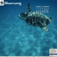 Icono de programa: WWFDesktop