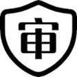 Ícone do programa: AI 代码审查工具