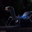 Icon of program: Tarantula thomas