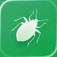 プログラムのアイコン：Insecta - Study Insects i…