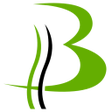 プログラムのアイコン：Biva