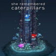 Icoon van programma: She Remembered Caterpilla…