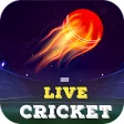 Live Cricket Score- Prediction