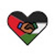 Icon of program: PalestinePact