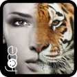 ไอคอนของโปรแกรม: InstaFace : face morphing