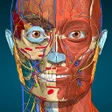 プログラムのアイコン：Anatomy Learning - 3D Atl…