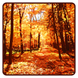 プログラムのアイコン：Autumn Wallpaper