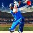 プログラムのアイコン：World Cricket championshi…