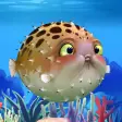 Blowfish - Live Wallpaper