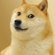 Icono de programa: Doge
