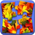Autumn Puzzle Game