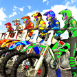 プログラムのアイコン：Pro MX 3