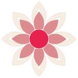 程序图标:Busaheba App