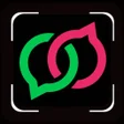 程序图标：SHEGER PRO
