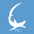 Programikonen: Pool Shark H2O Pro
