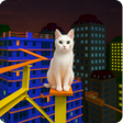 Ikon program: Scary Cat Games 3D