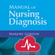 プログラムのアイコン：Manual of Nursing Diagnos…