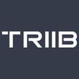 プログラムのアイコン：TRIIB