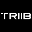 プログラムのアイコン: Triib
