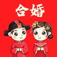 Icon of program: 八字合婚 -专业合八字软件助手