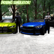程序图标：Driving Simulator BMW 3