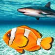 Ikon program: Real Fish Simulator