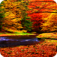 Programikonen: Autumn Wallpaper