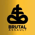 プログラムのアイコン：Brutal Assault
