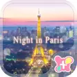 Beautiful Theme-Night in Paris