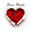 Icon of program: Rose Heart Theme