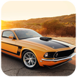 Иконка программы: Real Car Simulator