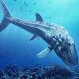 程序图标：Leedsichthys Simulator