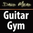 ไอคอนของโปรแกรม: David Mead : Guitar Gym