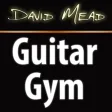 David Mead : Guitar Gym