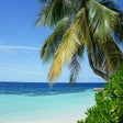 Icon of program: The Beach Tab