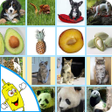 Programikonen: Super Memory Game