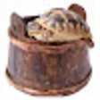 Ikon program: TortoiseBucket