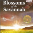 程序图标：Blossoms of savannah:exce…