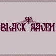 Programın simgesi: Black Raven