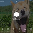 Icon of program: New Day