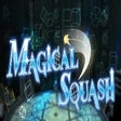 プログラムのアイコン：Magical Squash