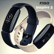Ikon program: fitbit inspire 2 guide
