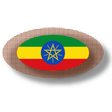 Programikonen: Ethiopian apps