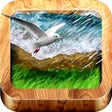 أيقونة البرنامج: NatureScapes Relaxing Sou…