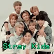 程序图标：Stray Kids Songs