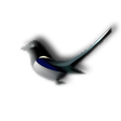 Symbol des Programms: ElsterFormular 2009 bis 2…